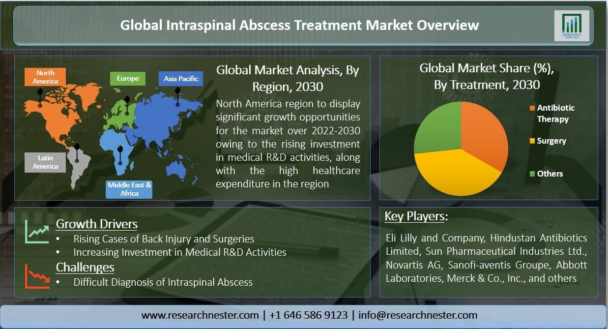 Intraspinal Abscess Treatment Market Overview